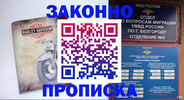 прописка для школы в Кропоткине